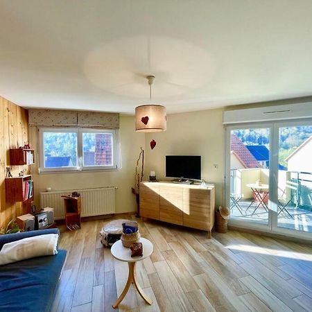 Au Nid De Cigogne Avec Garage A Kaysersberg Dış mekan fotoğraf